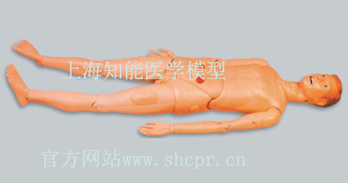 基礎(chǔ)護理人模型到底有哪些功能？