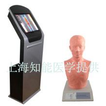 經穴學及針刺仿真訓練系統