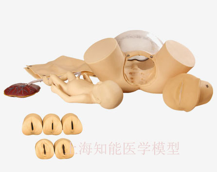 助產(chǎn)訓練模型的發(fā)展