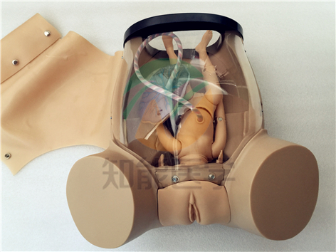 助產(chǎn)訓(xùn)練模型