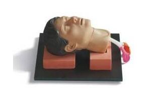 環甲膜穿刺訓練模型的使用方法