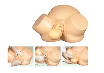 產科醫(yī)院模擬生產模型