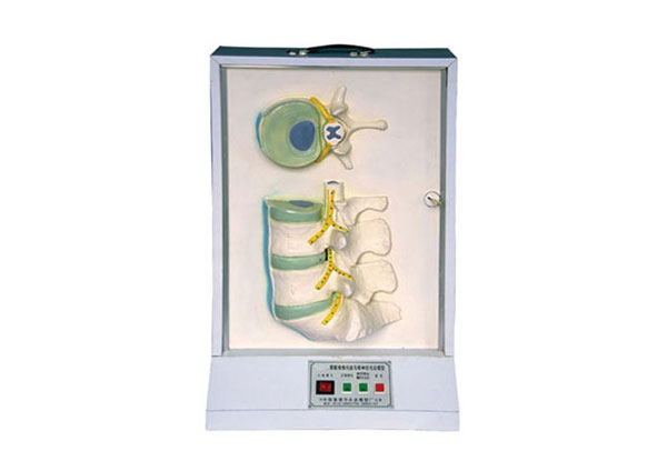 腰骶椎、椎間盤和脊神經(jīng)電動(dòng)模型產(chǎn)品功能測試報(bào)告