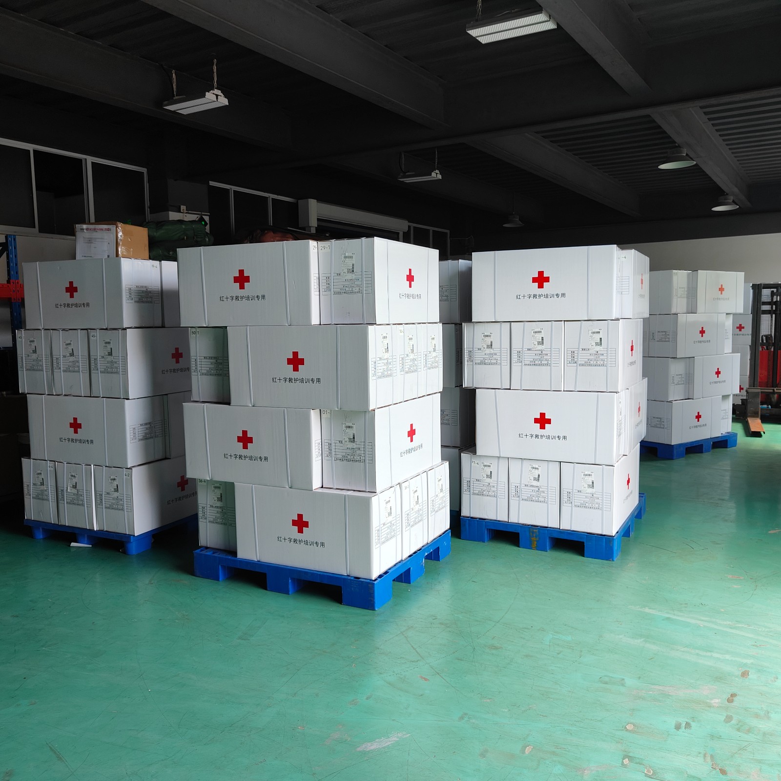 紅十字會救護培訓模型 紅十字會救護培訓模型