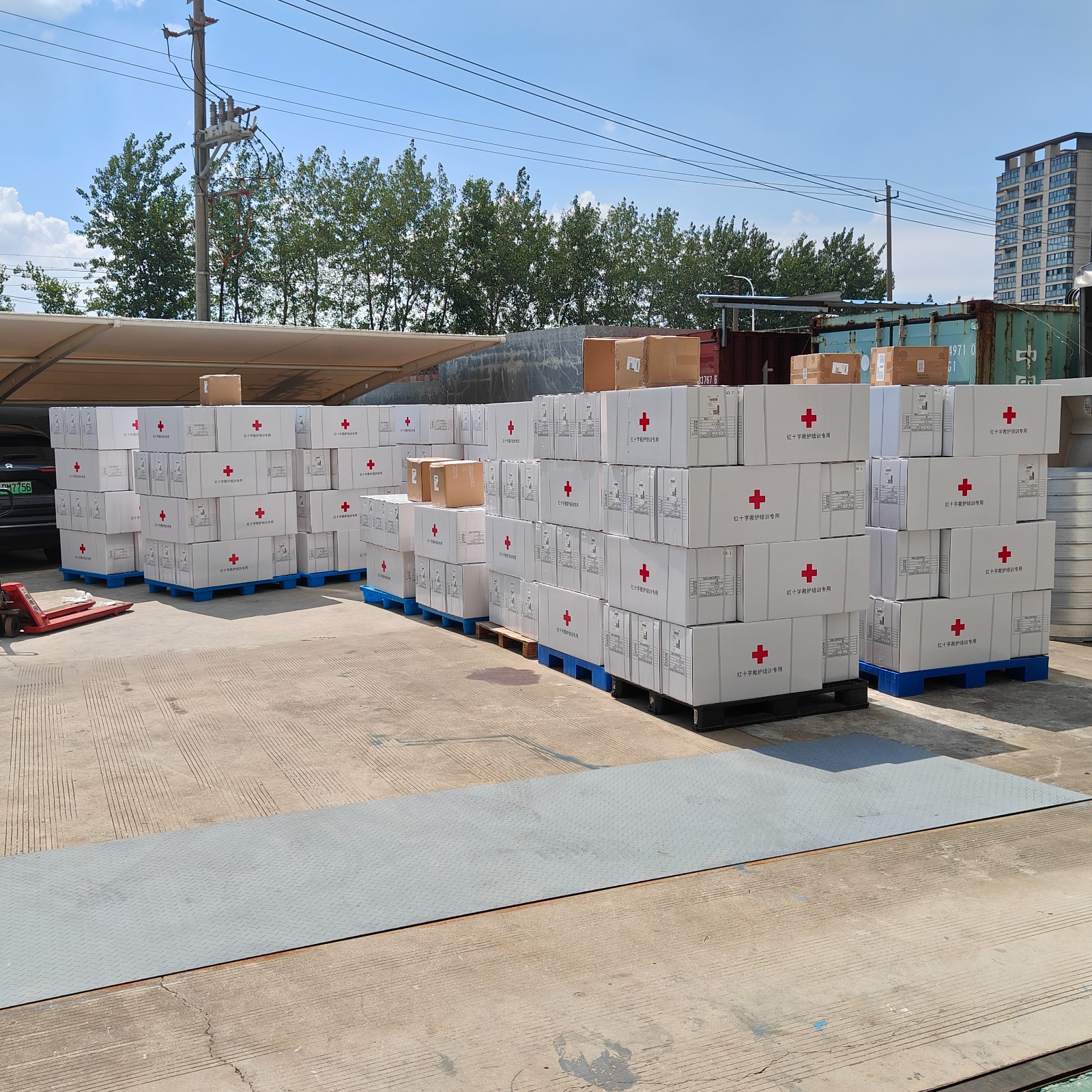 紅十字會救護培訓模型 紅十字會救護培訓模型