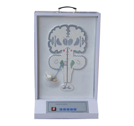 平衡感傳導電動模型