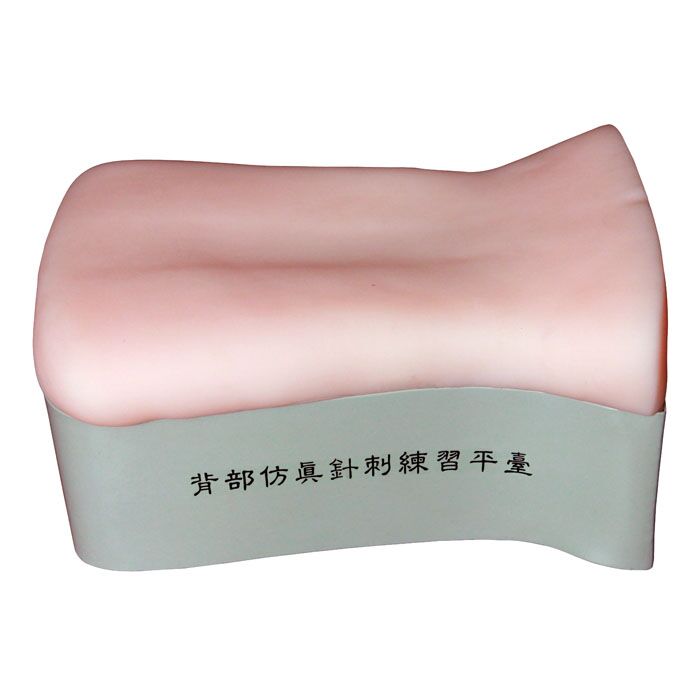 背部仿真針刺練習(xí)平臺(tái)
