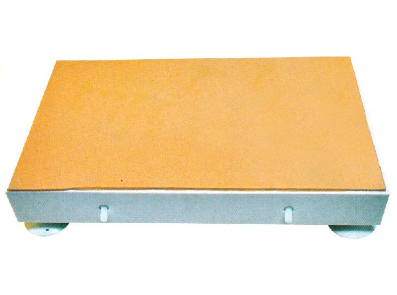  血管分離結扎模型